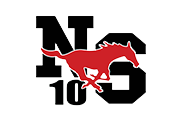 NS10 Logo